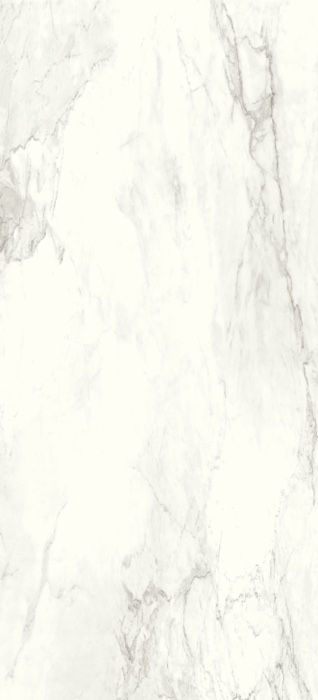 FR757761-5.jpg