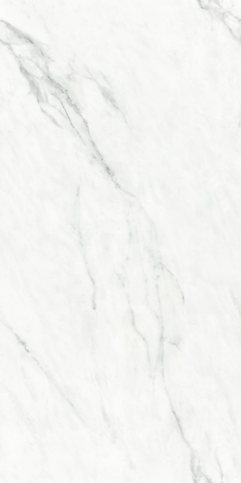 マーブルG 600×1200 スタトゥアリオ カラカタ 磨き｜タイルの通販