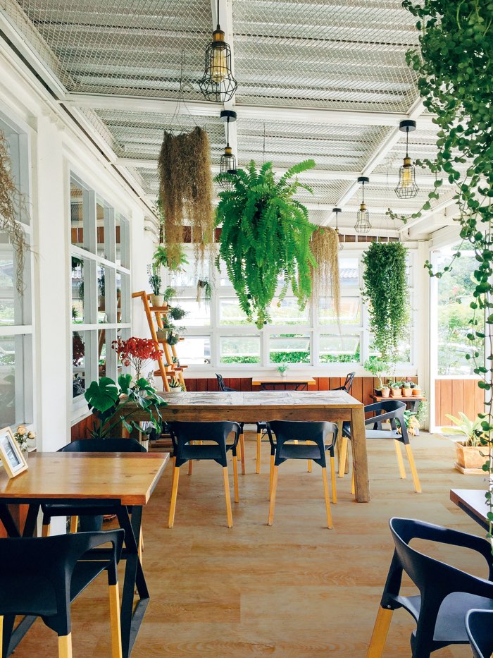 ミストウッドP ミストブラウン｜ビニル床材・機能性床材の通販