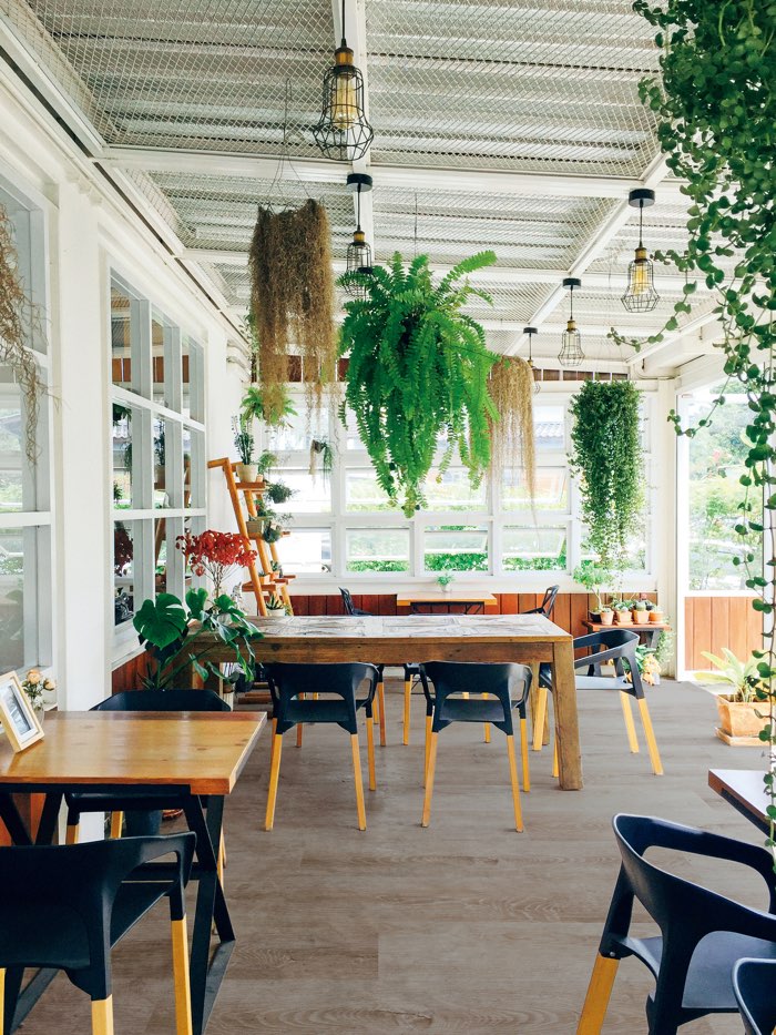 ミストウッドP ミストグレー｜ビニル床材・機能性床材の通販