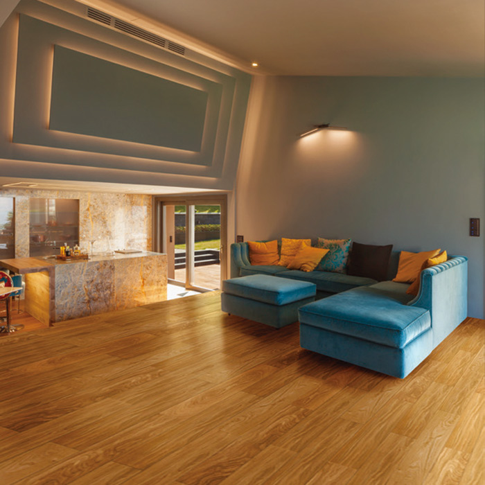 アドロイズプレミアム2.0 チークナチュラル UVオイル仕上げ