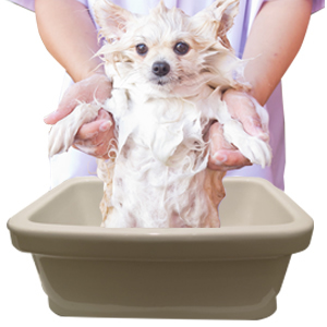 メグ60｜洗面ボウル（洗面器）の通販｜アドヴァングループ