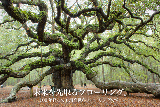 フューチャーオークトップ